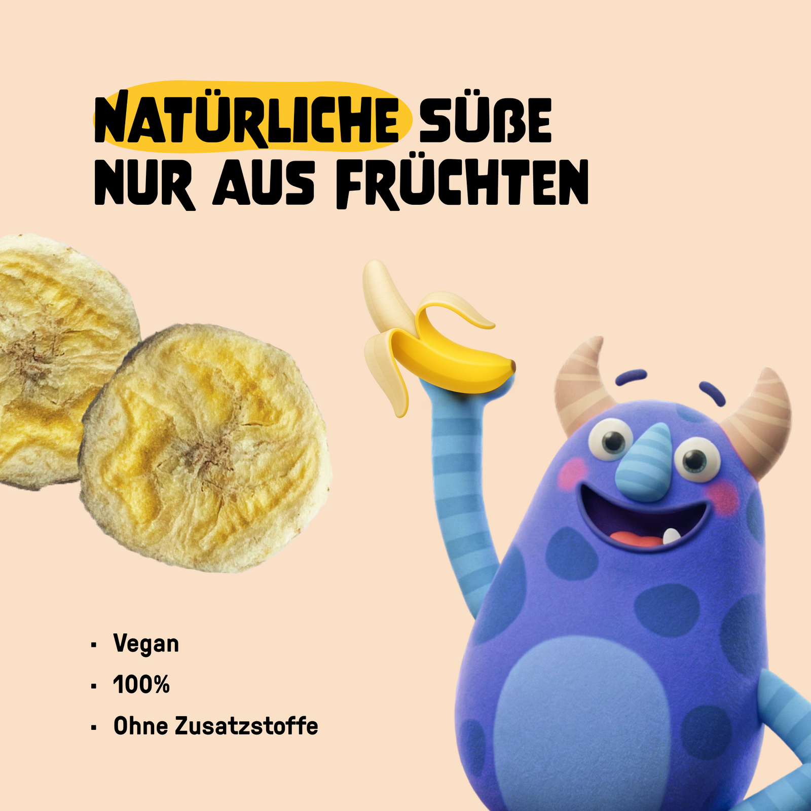 Bio Fruchtchips Banane