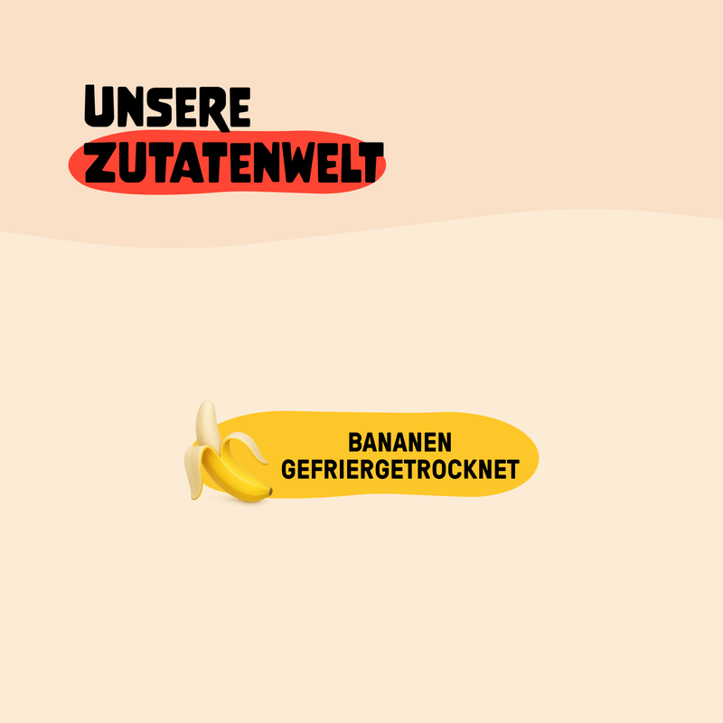 Bio Fruchtchips Banane